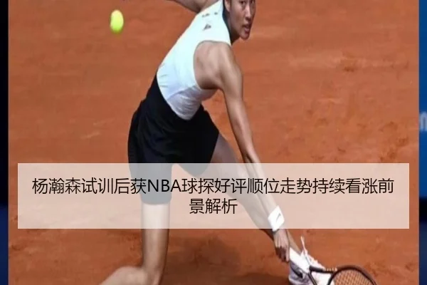 杨瀚森试训后获NBA球探好评顺位走势持续看涨前景解析