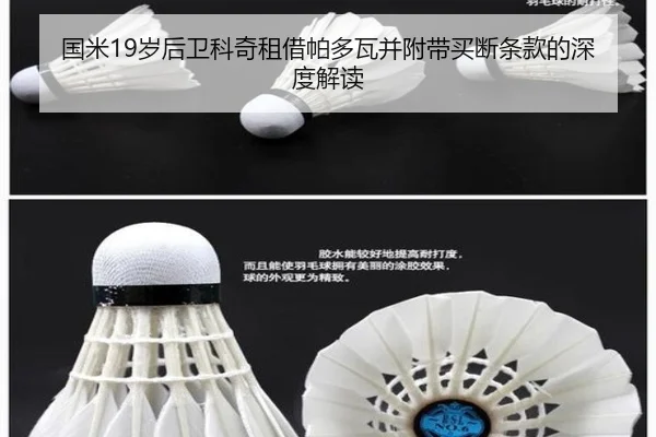 国米19岁后卫科奇租借帕多瓦并附带买断条款的深度解读